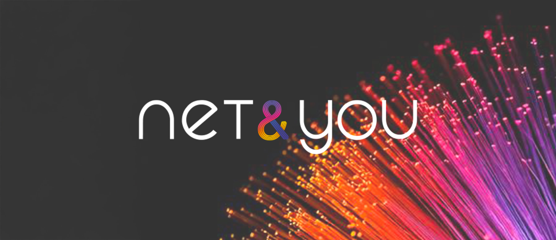 Net&You